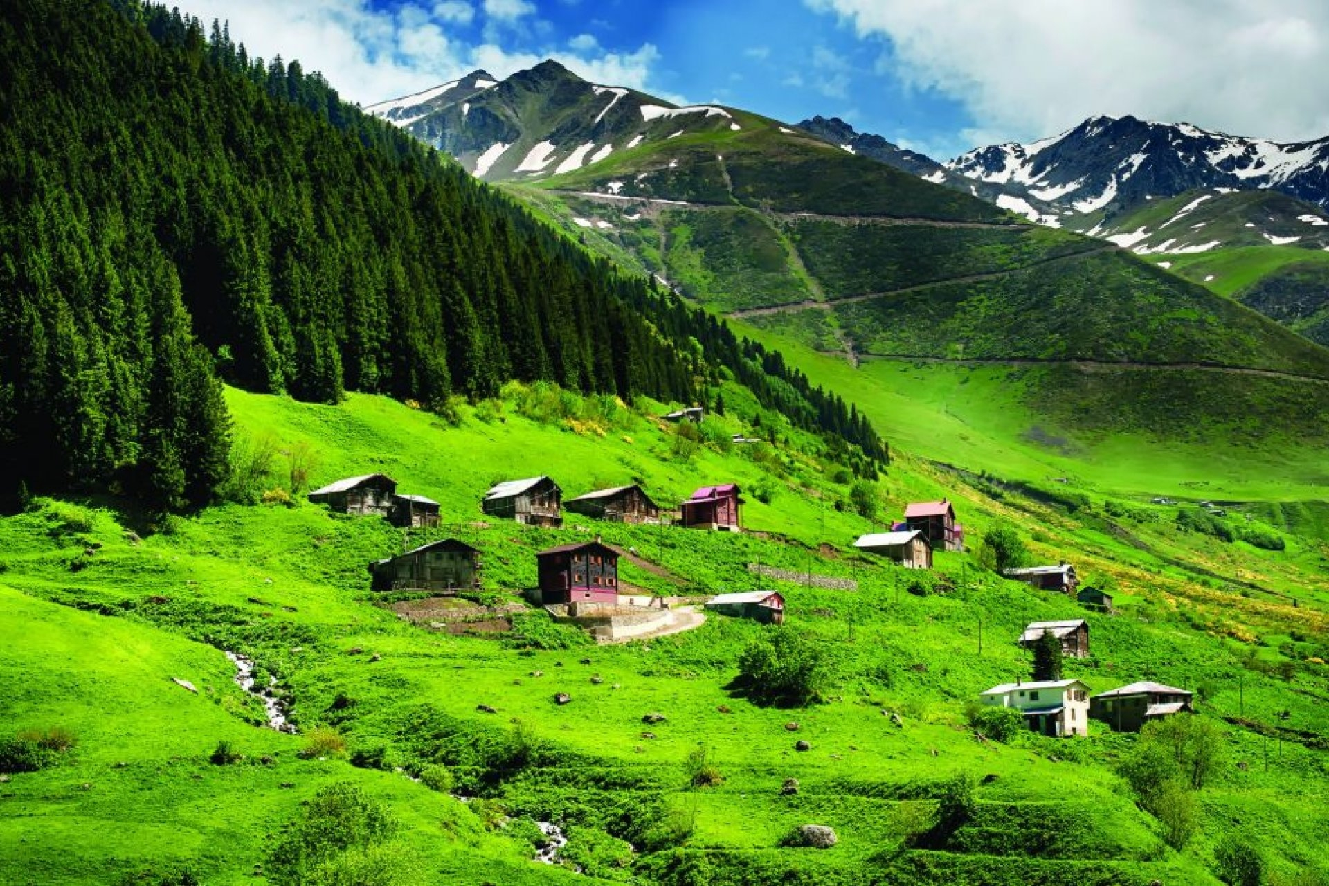 Karadeniz Turları